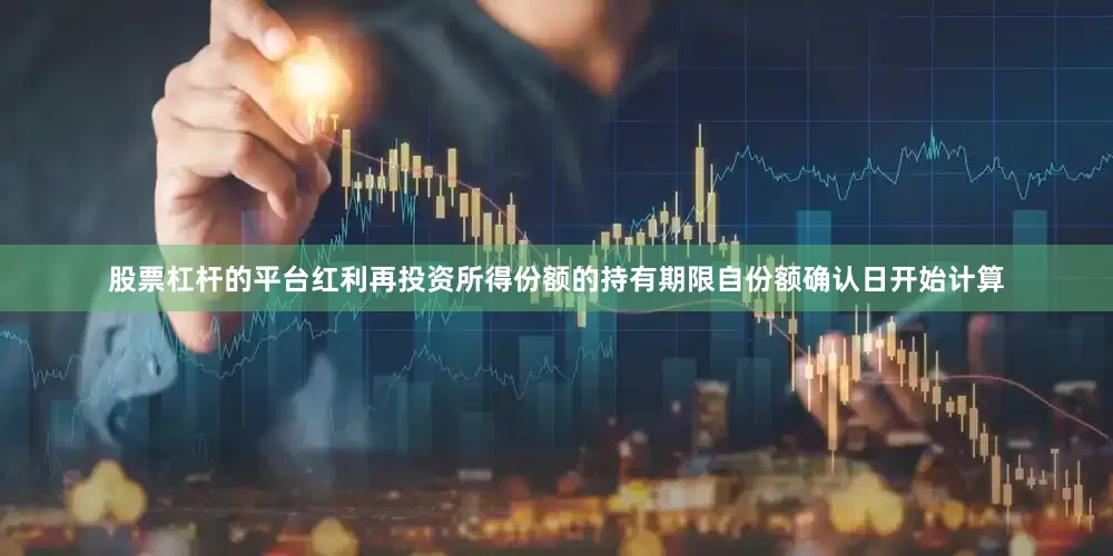 股票杠杆的平台红利再投资所得份额的持有期限自份额确认日开始计算