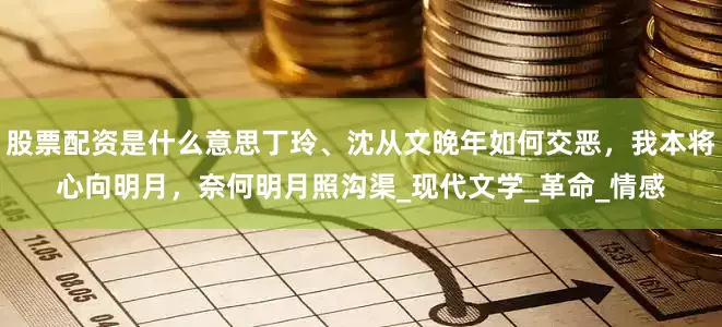 股票配资是什么意思丁玲、沈从文晚年如何交恶，我本将心向明月，奈何明月照沟渠_现代文学_革命_情感